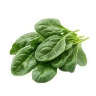 Vitamina B5